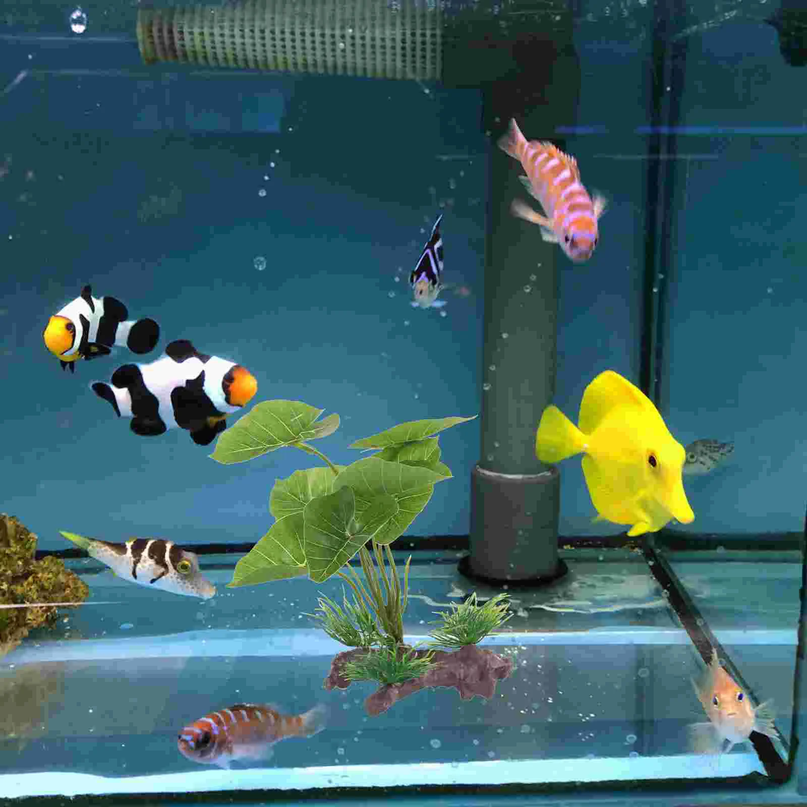 Украшения для аквариума Betta искусственные водные растения леопардовый принт