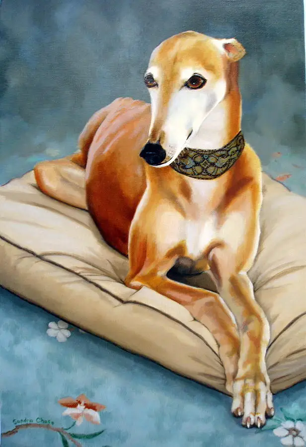 

TOP Original animal art - GREYHOUND DOG a greyhound oil painting on canvas # animal Decor accept custom painting