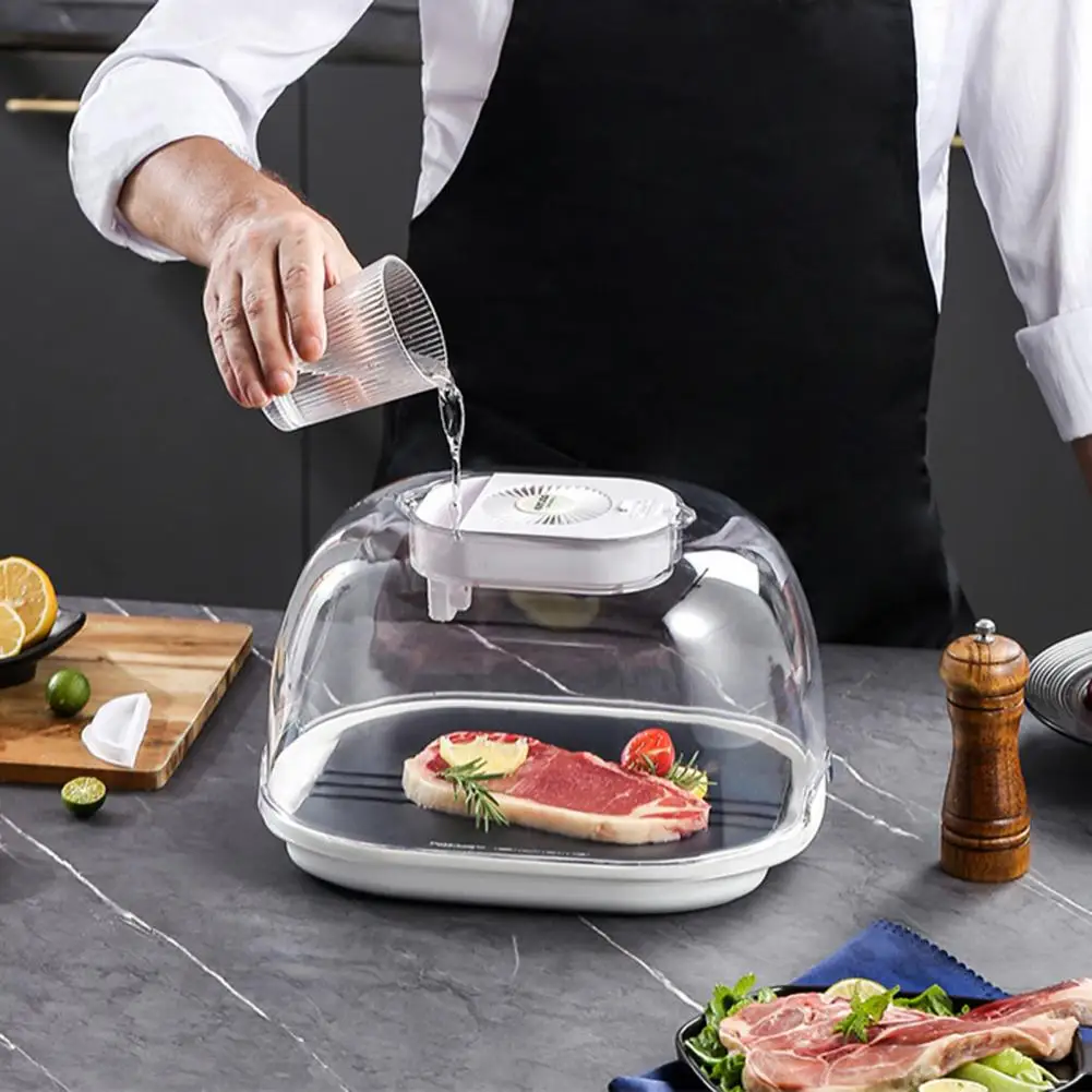 

Steak Quick Thawer Portable Aluminum Alloy Food Defrosting Tray 360 Degree Defrost Freeze Thaw Tray Reusable Thawing Plate