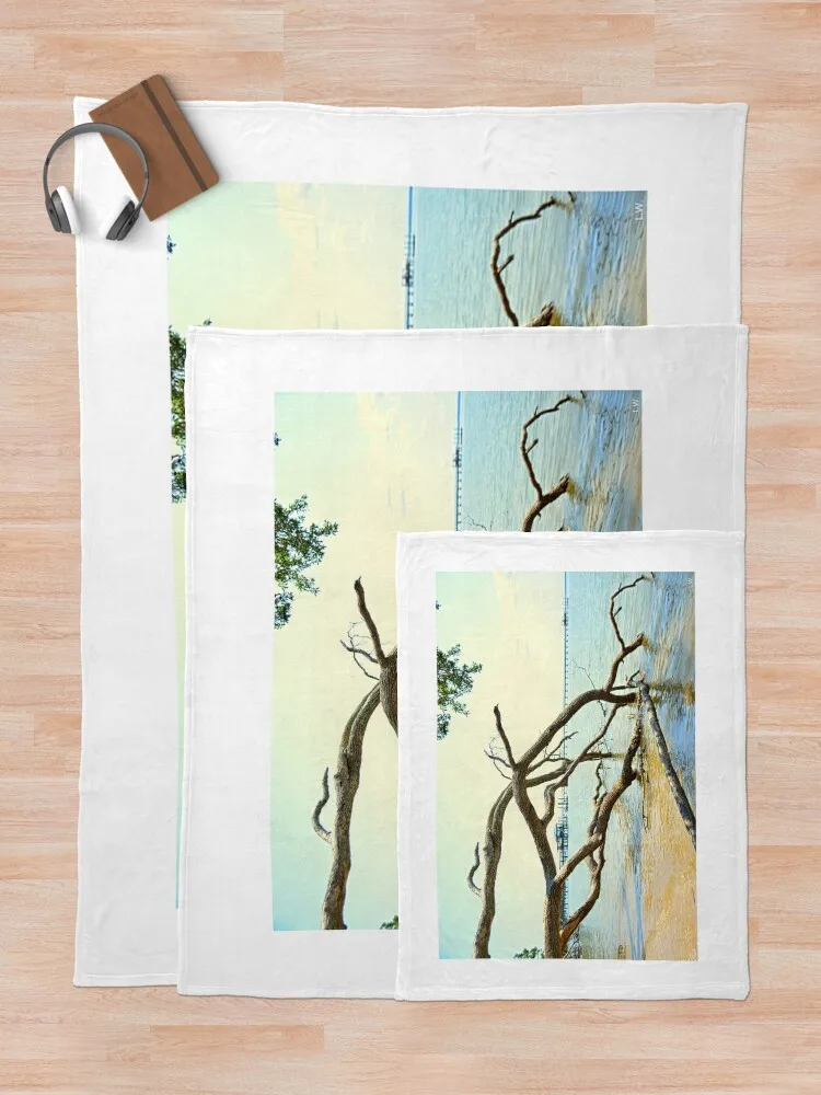 Пляжное одеяло Fort Fremont Beaufort Южная Каролина дрифтвуд плед одеяла и пледы