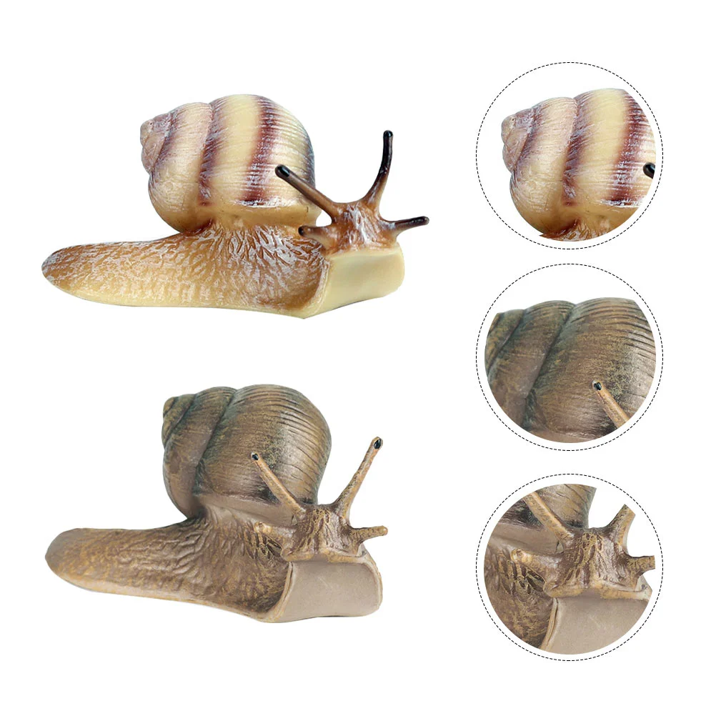 

Snail Miniature Garden Animal Figure Figurine Sculpture Figurines Statue Decorations Landscape Decoration Micro Ornament Mini
