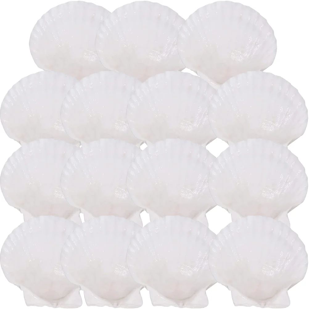

15Pcs Dinner Plate Fruit Plate Creative Plate