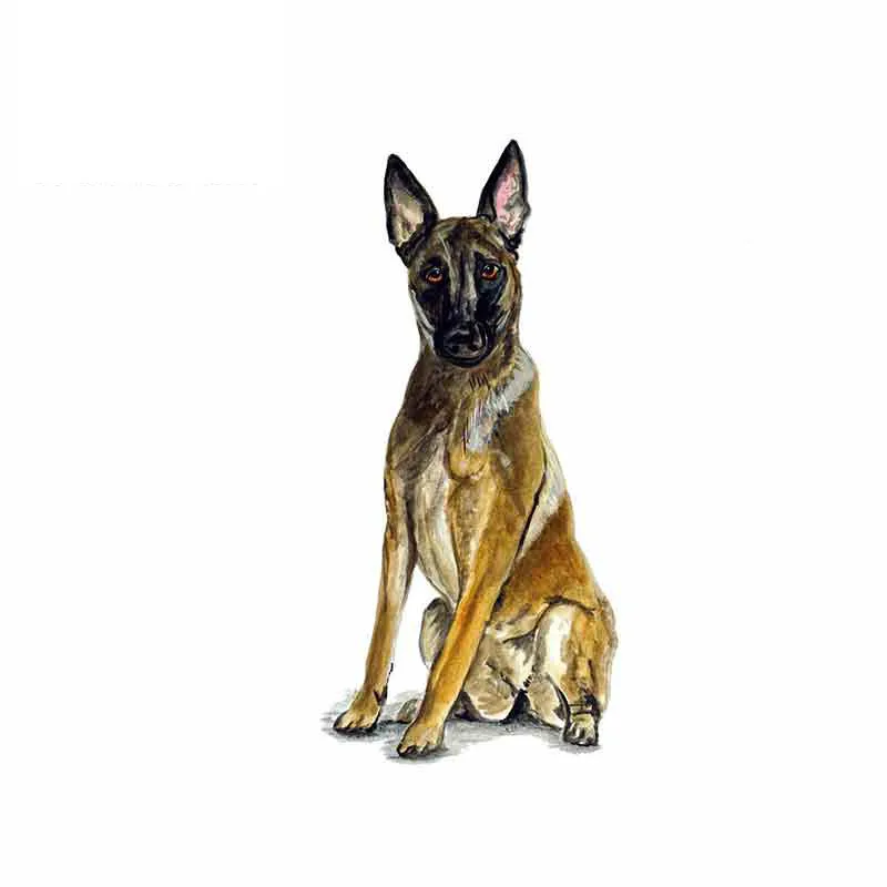 

Hot Car Stickers for Belgian Shepherd Malinois Police Rescue Guard Dog Graphics Funny Trunk Wall Decals KK13*6cm Vinyl