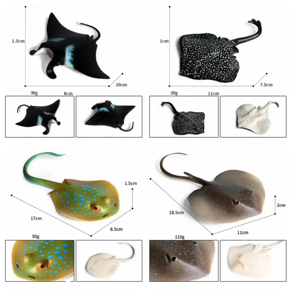 z symulacją Manta Ray Model ryby Miniaturowe figurki zwierząt oceanicznych Morskie edukacyjne morskie Ozdoby