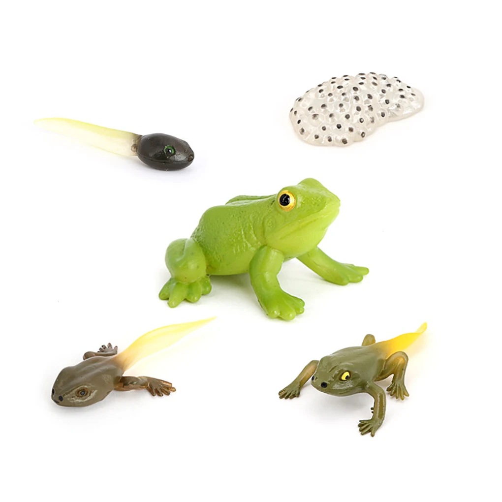 

Animal Growth Figures Set Kids Plastic Models Home Early Learning Figurines Nature Science Teaching Portable Toys