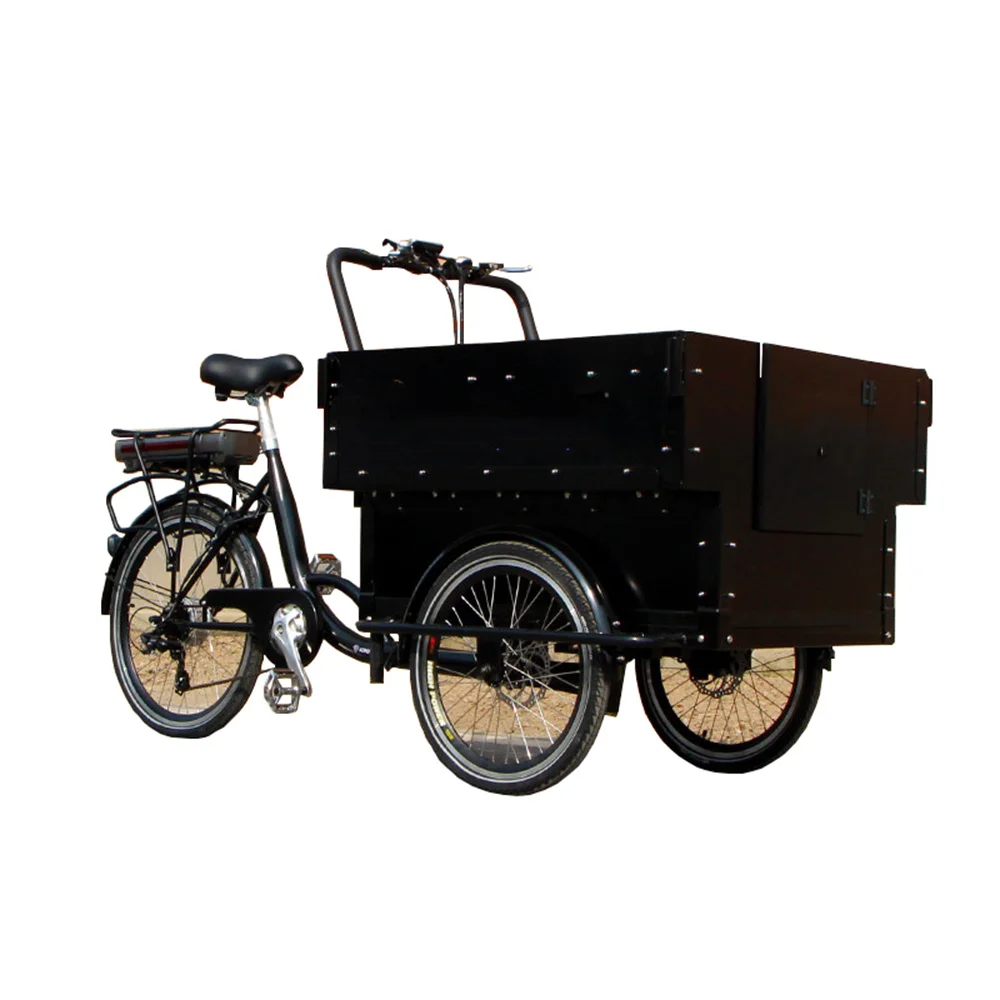 

Front Loading Side Open Door Cargo Bike Electric Lastenfahrrad 3 Wheel Bicycle Adult Trike Tricycle