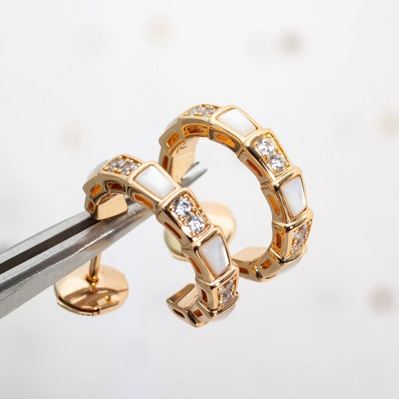 

925 Silver European And American High-end Sense Diamond Snake Bone Earrings Temperament Ladies Fashion Trend Brand Jewelry Gift