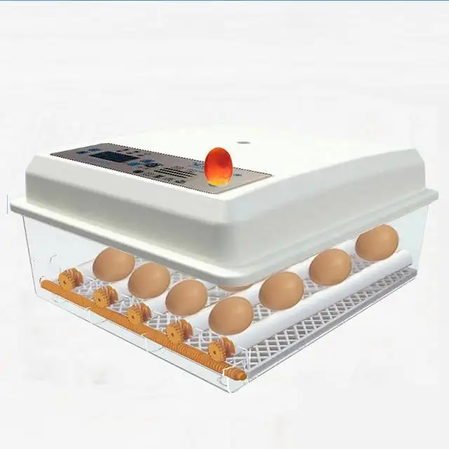 

Mini Egg Incubator For Sale Fertile Parrot 9 Eggs For Education Brooder