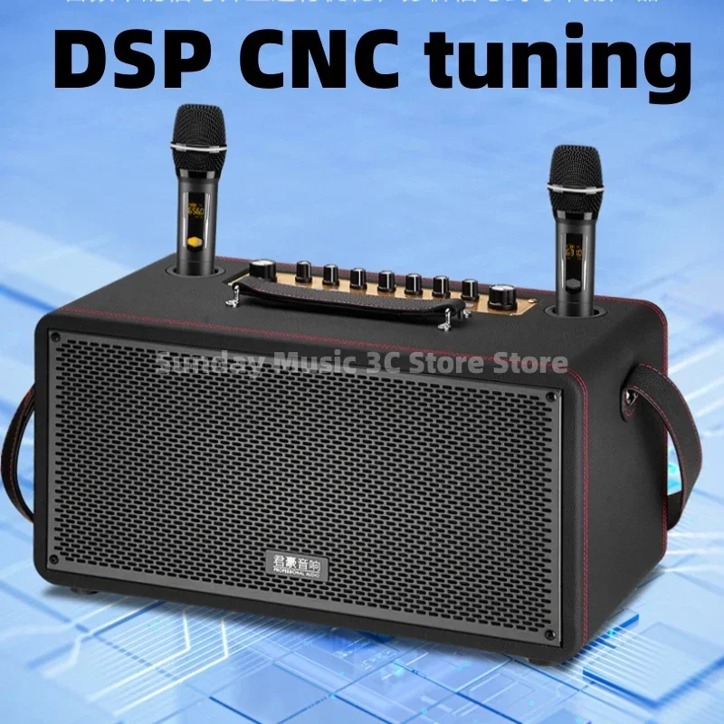 Портативный беспроводной микрофон для улицы 1000 Вт