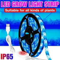 5v led growth light flexible plant tape waterproof usb phyto lamp strip indoor grow tent plant seed lights tape 50cm 1m 2m 3m