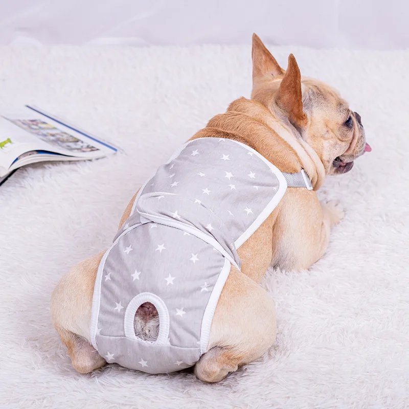 

2022 French Dog Dog Physiological Pants Female Teddy Corgi Puppy Pug Dog Menstrual Period Pet Safety Pants