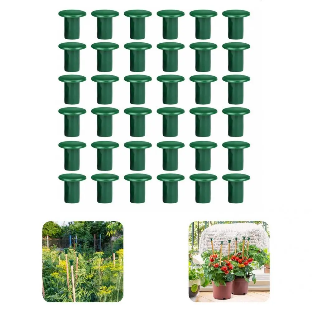 

Simple Installation PVC Exposed Bamboo Garden Cane Protector Topper for Home