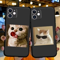 cartoon cute funny animal cat funda for iphone 11 12 13 mini 11 pro x xs max xr 6 7 8 plus se phone case soft silicone tpu cover