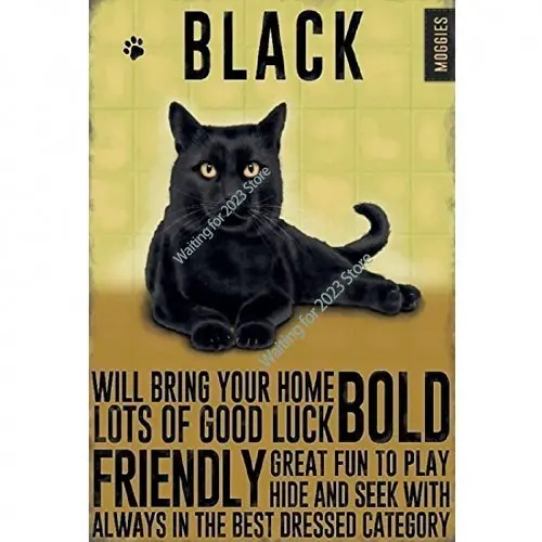 

Moggies - Metal Wall Sign/Plaque - Black Cat - Ideal Gift Wall Decoration,8 x 12 Inch