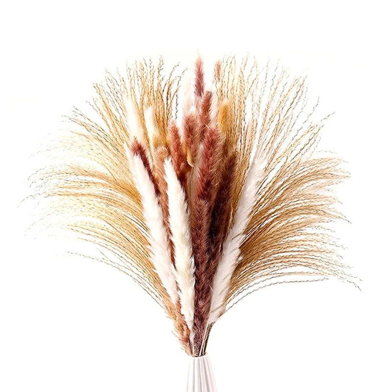 

60 PCS Dried Pampas Grass, 17 Inch Natural Pampass Bouquet Plants,Pampas,Rabbit Grass And Reeds For Home Wedding Boho