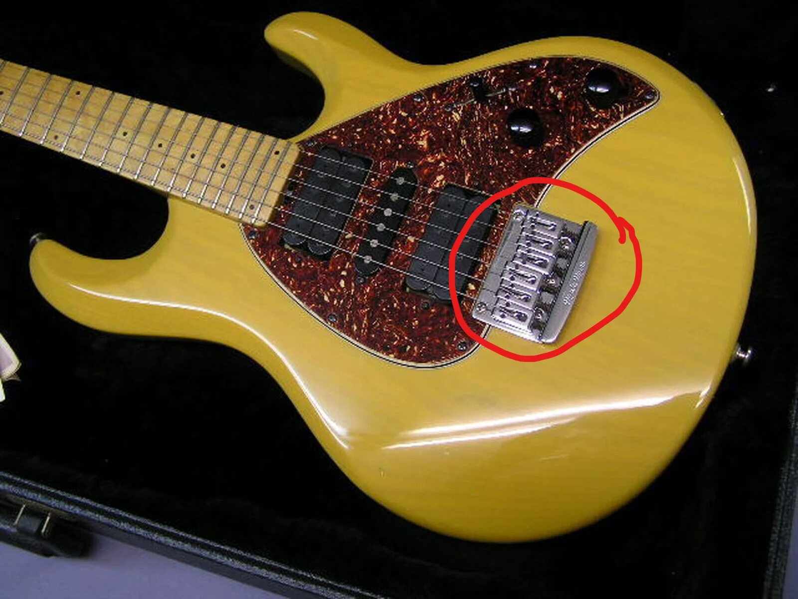 

Кленовая шея + тело ворса