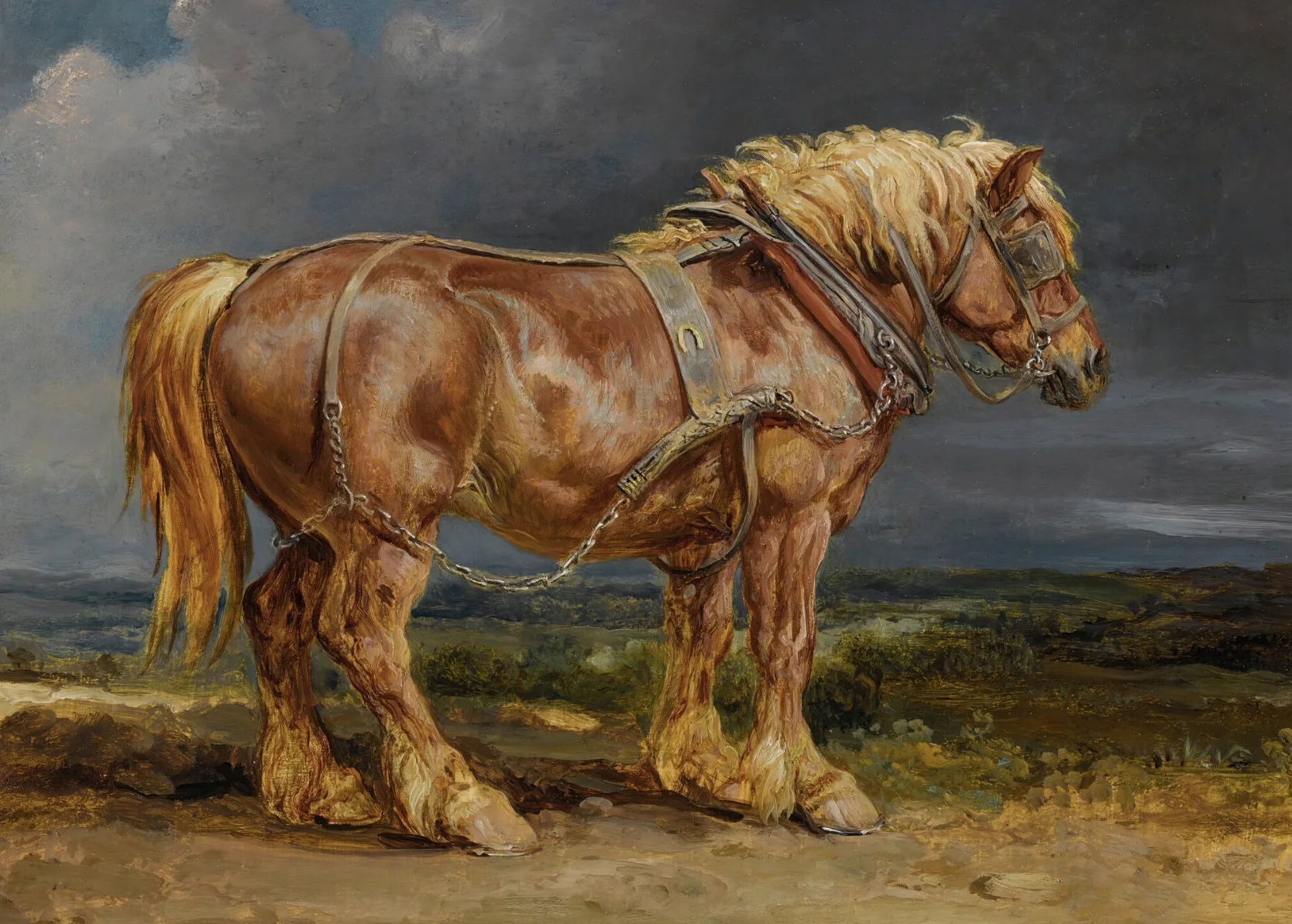 Печать на холсте «Луг с лошадьми» джоджо мойес танцующая с лошадьми