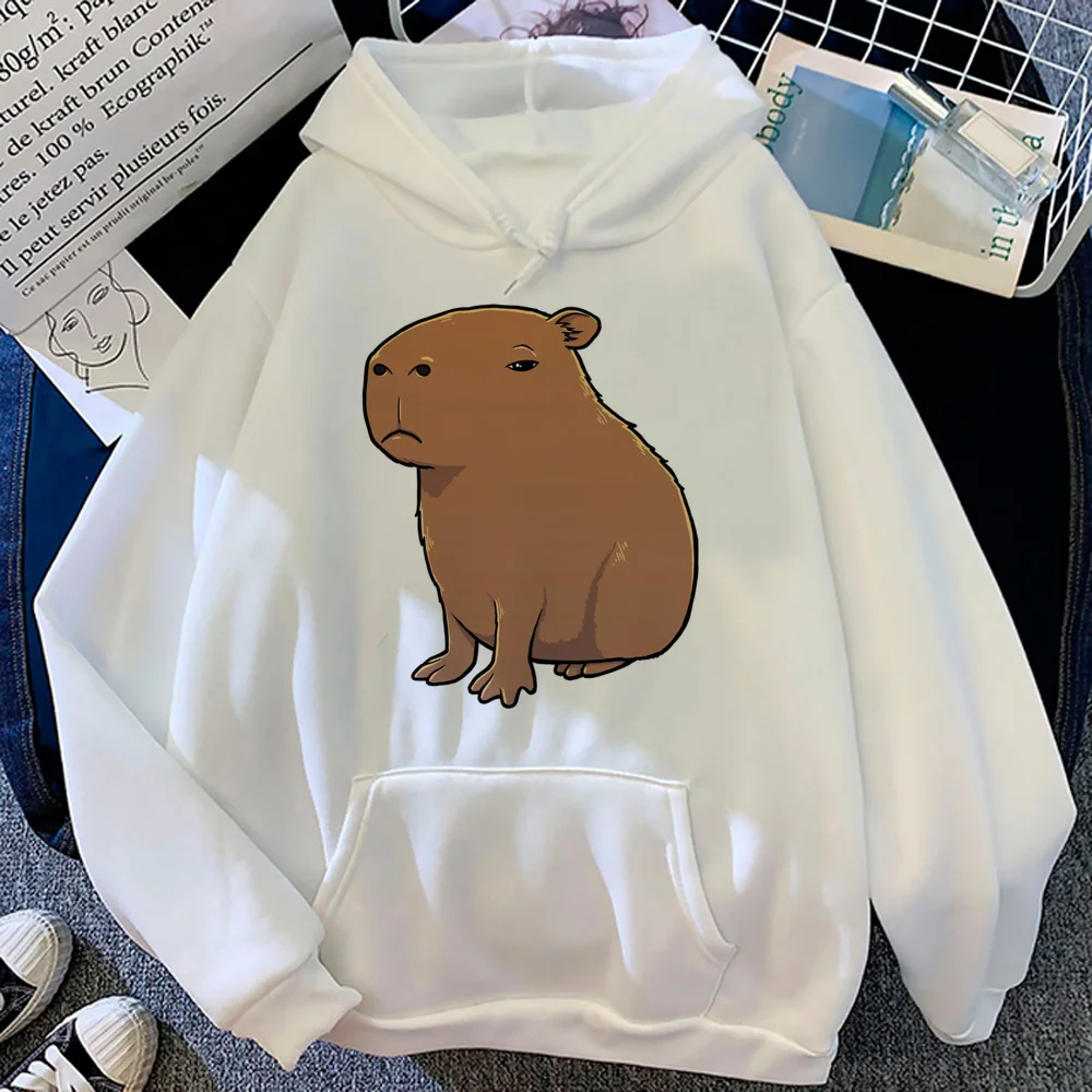 capibara hoodies men long sleeve top anime clothing sweatshirts man Kawaii sweater