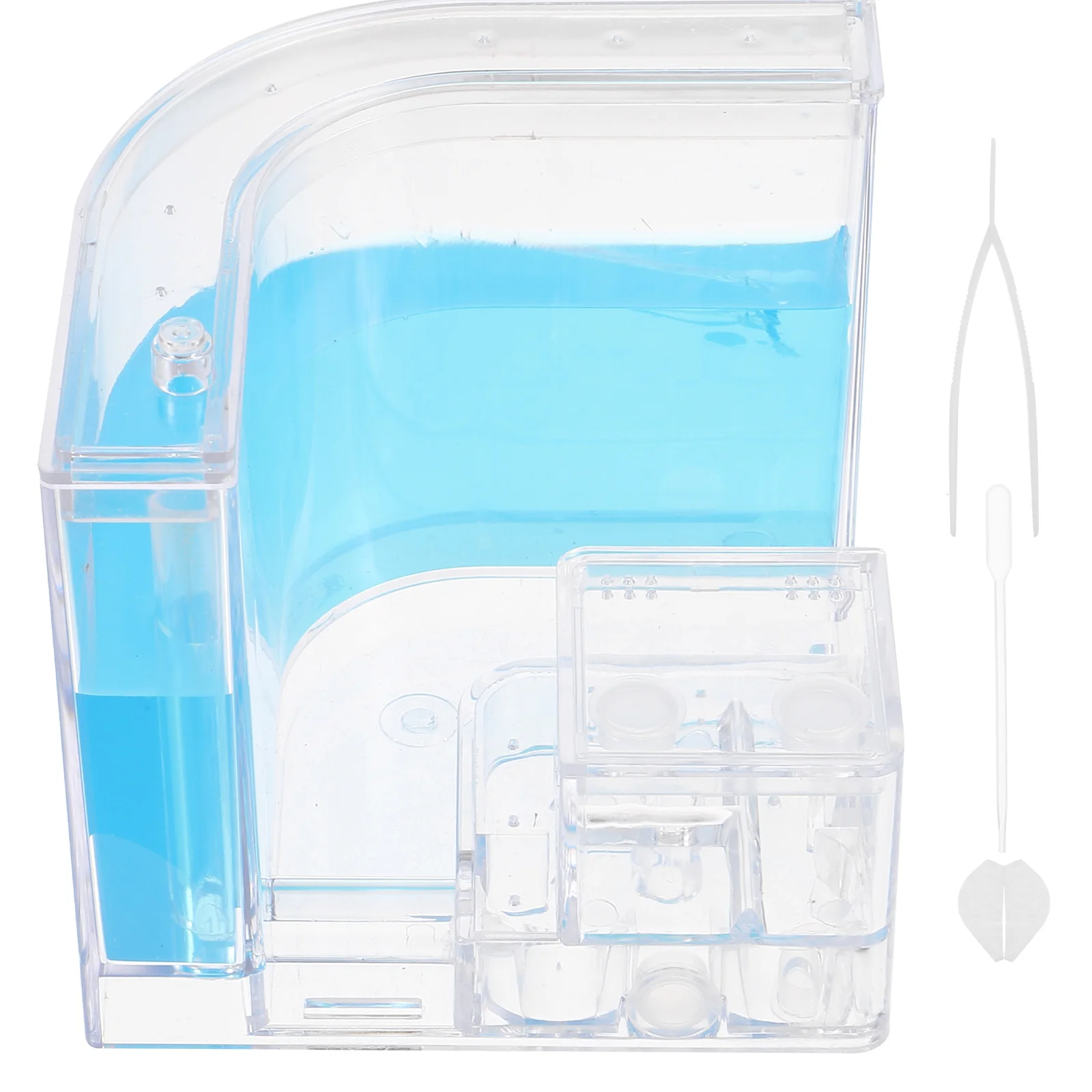 Игрушка Замок муравьи Муравьи Формикум Экологическое гнездо Домашнее животное