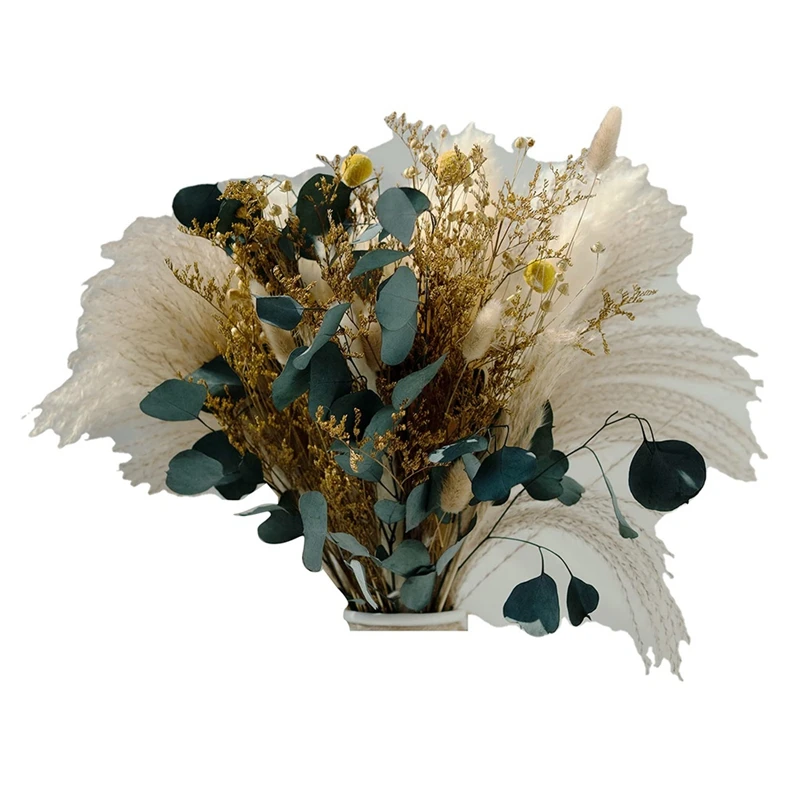 

87Piece Dried Pampas Grass Boho Decor Natural Fluffy Dried Flowers For Home Decor, Office Decor