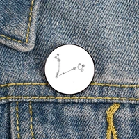 pisces zodiac wildflower constellation pin custom funny brooches shirt lapel bag cute badge enamel pins for lover girl friends