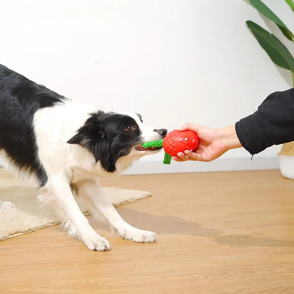 

Durable Dog Teething Toy Lightweight Good Toughness Rubber Colorful Dog Molar Pet Training Toy Chewing Toy Relieve Boredom