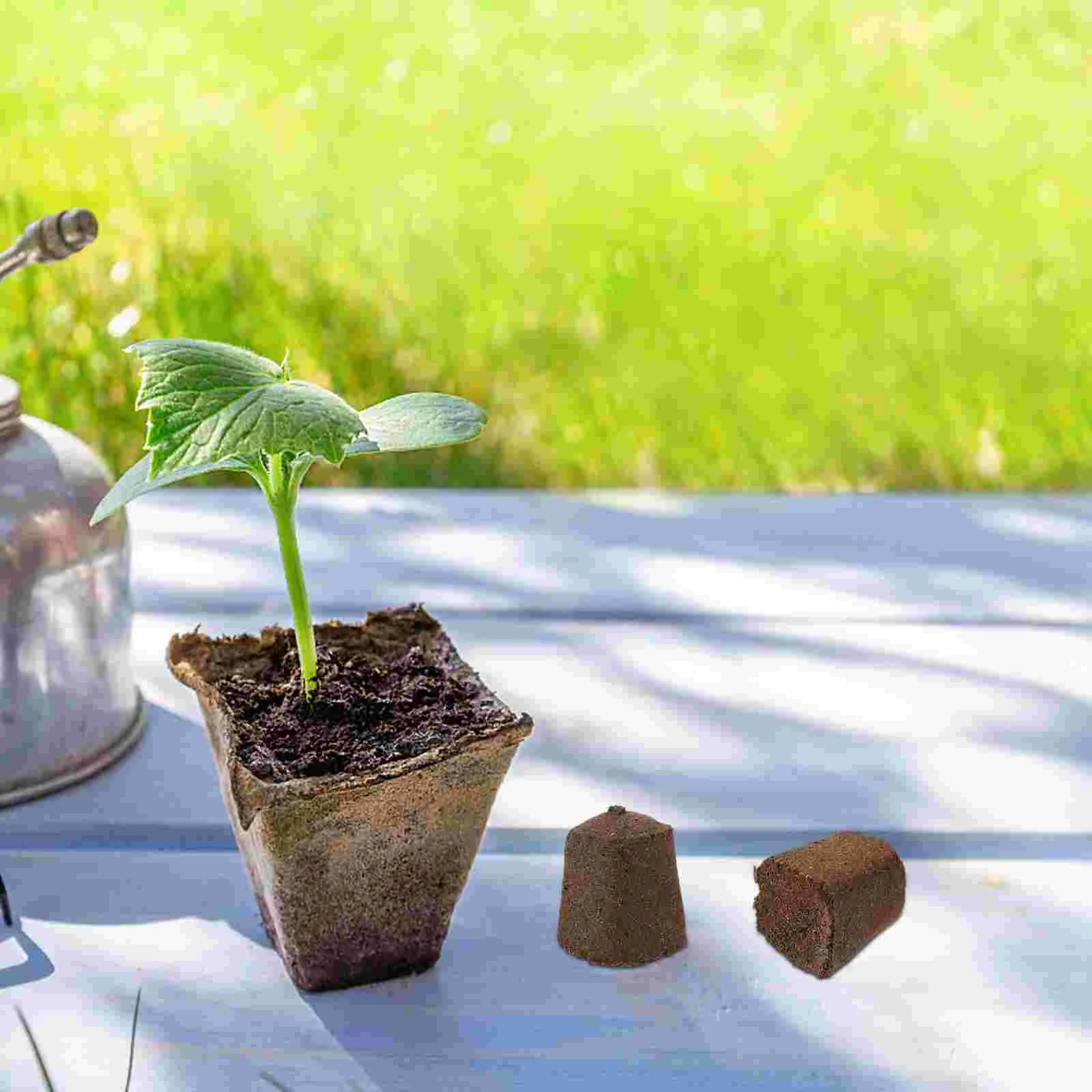 10 шт. блок для выращивания рассады садовых дыней садовые принадлежности торфная
