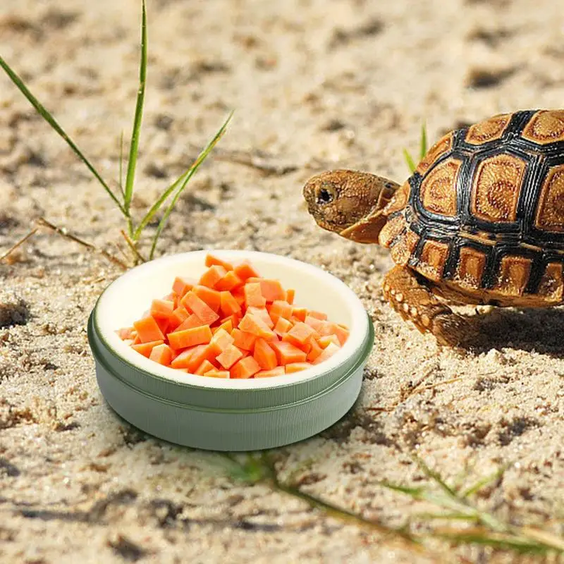 Блюдо для воды рептилий миски еды и блюдо миска тарелка рак-отшельника лягушки