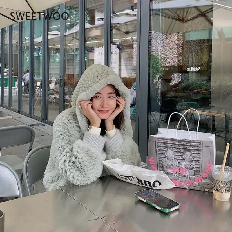 Women Short Jacket with Hood Knitted Generic Rabbit Fur Coat Autumn Winter Spring Sweater Femme Full Sleeve Outwear Slim Tide