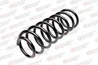 

102025R coil spring rear A100 8490