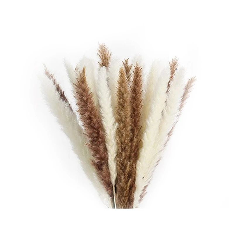 

70 Pieces Of Natural Dried Pampas For Flower Arrangements Boho Wedding Party Home Decor