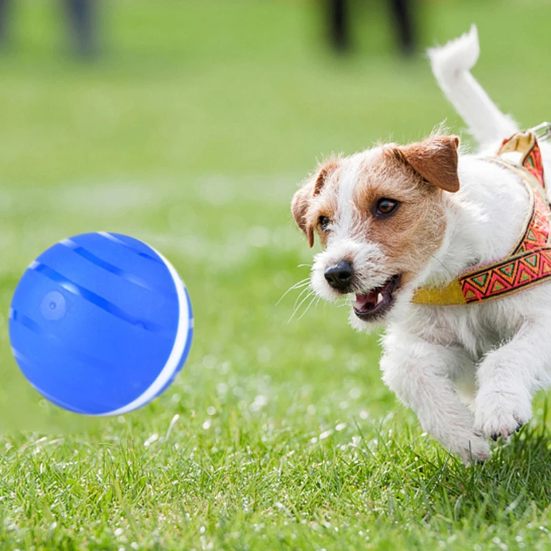 

Игрушка для собак, мяч для собак, рулонный веревочный мяч, игрушка для собак, игрушки для собак, футбольный мяч с захватами, щенок, подарки на день рождения, игрушка для собак и кошек, товары для домашних животных