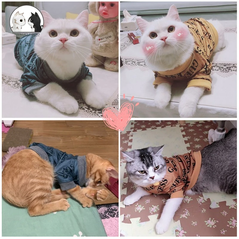 Костюм для домашних животных кошек бархатный мягкий свитер котенок щенок модное