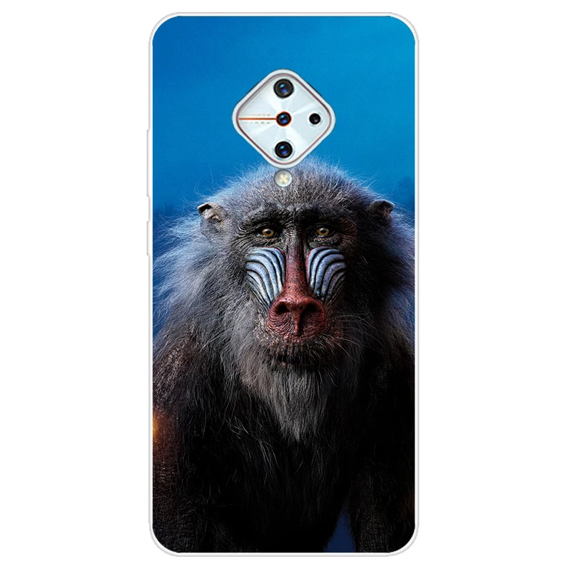 ДЛЯ vivo V17 Чехол Мягкий силиконовый чехол из ТПУ для телефона Vivo 1920 Coque v17 Россия S1 Pro