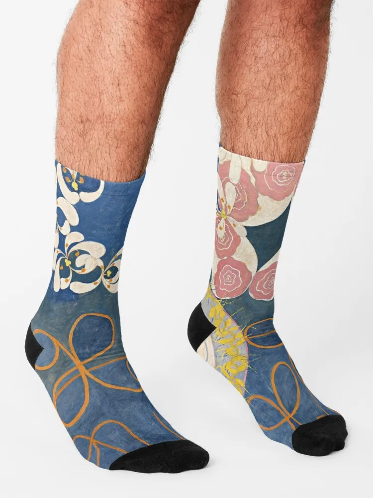 Носки Hilma af Klint-детская Группа IV