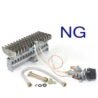 High Efficient  NG Natural Gas Spark Assembly Ignition Switch With Flameout Protection Gas Burner Tray For Boilers