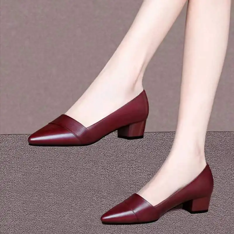 

Туфли женские с острым носком, на среднем толстом каблуке, весна-осень