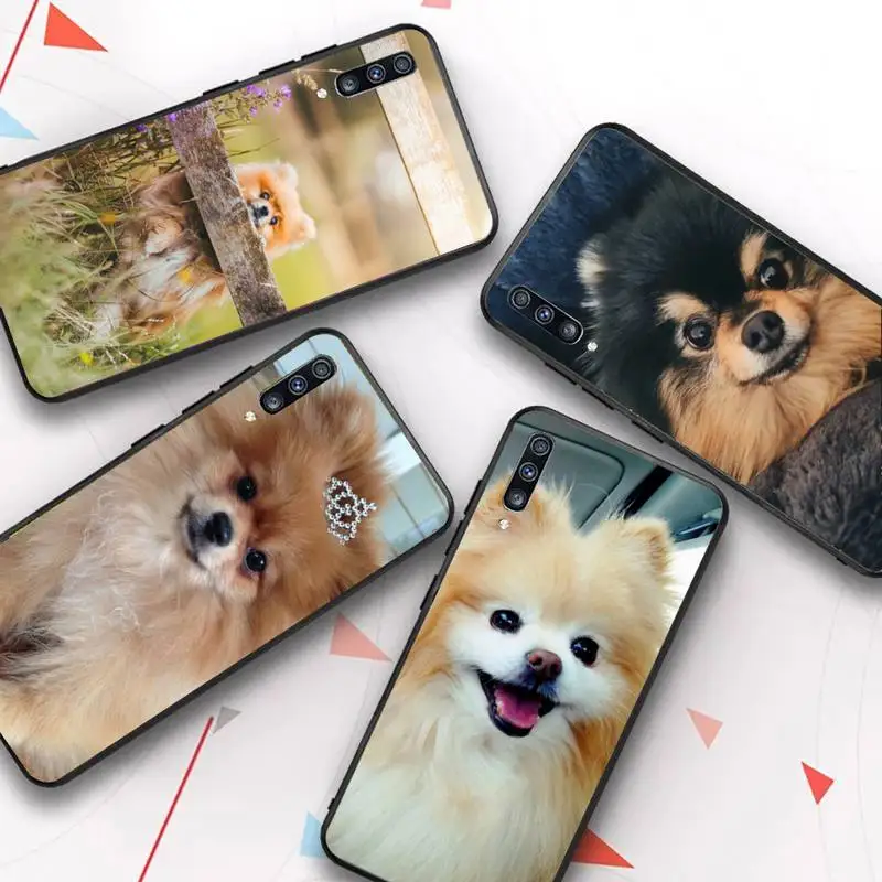 

Pomeranian dog Phone Case For Samsung A 10 11 12 13 20 21 22 30 31 32 40 51 52 53 70 71 72 73 91 13 shell