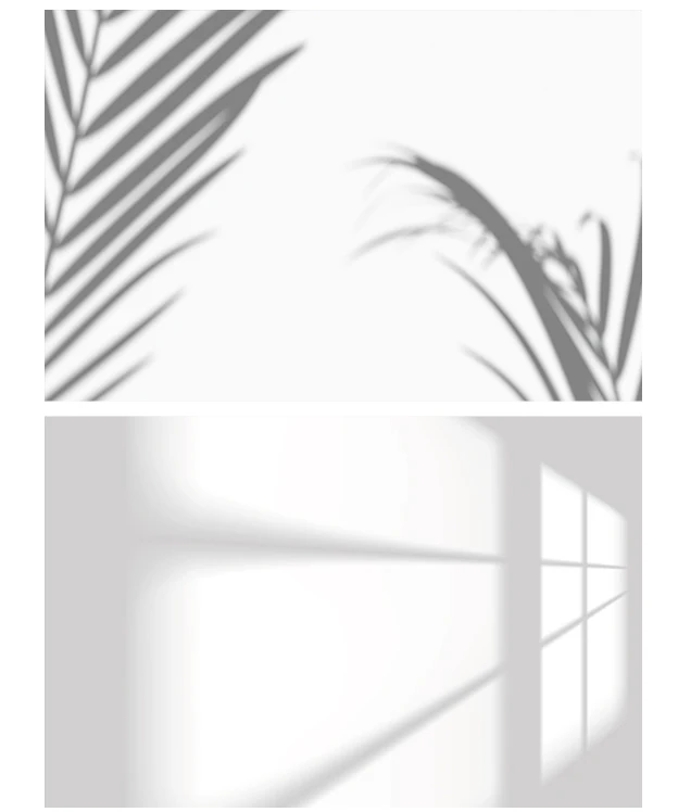 

Упаковка в тубус, дополнительная плата