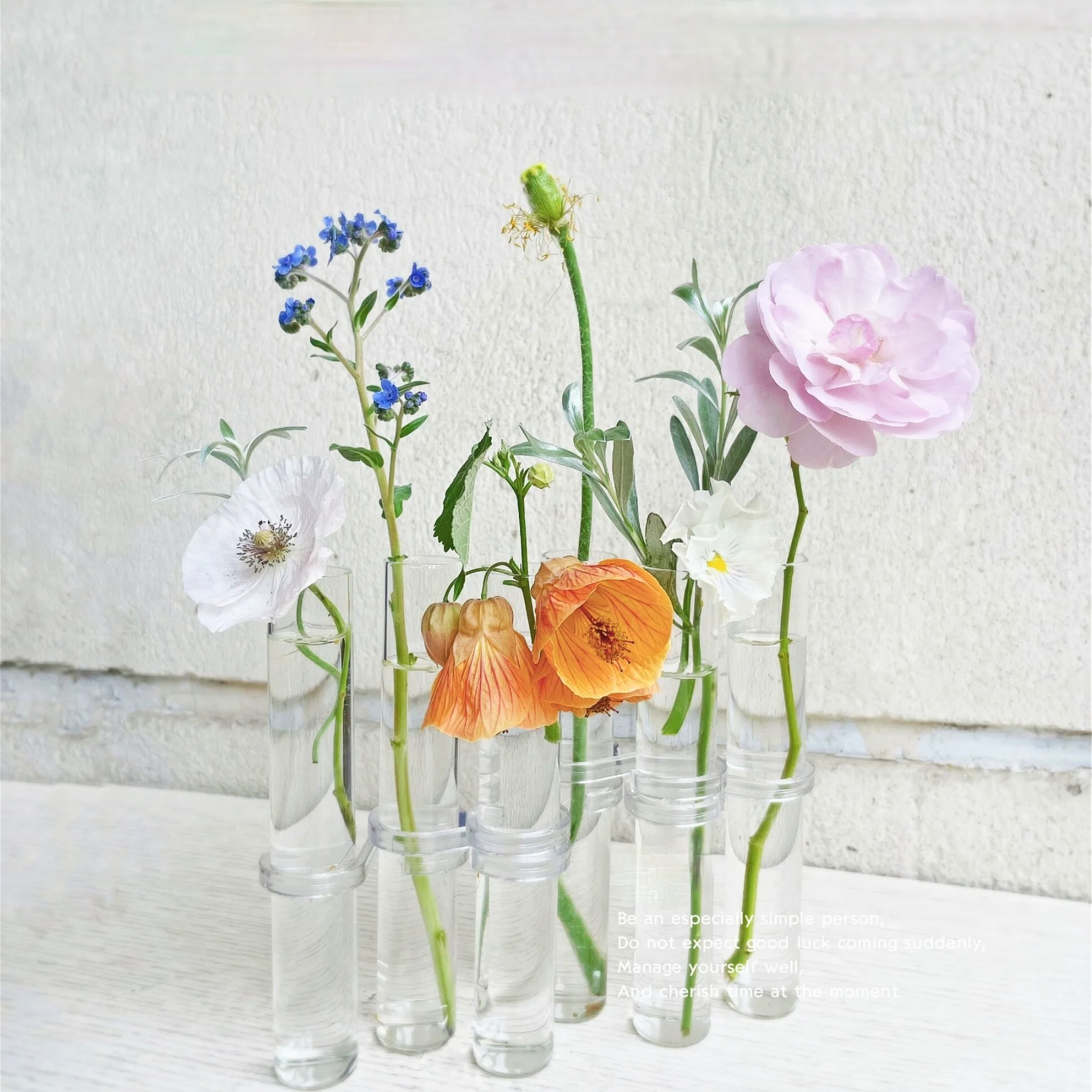 

Clear Glass Vase Tubes Set Hanging Flower Holder Plant Container Flower Vases for Homes Room Decor