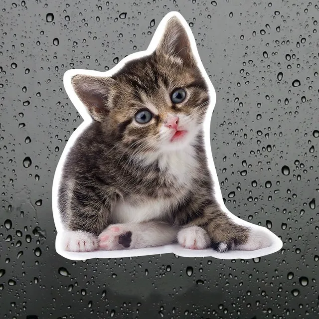 

Cute naughty cat car Sticker Sticker 18CM m2