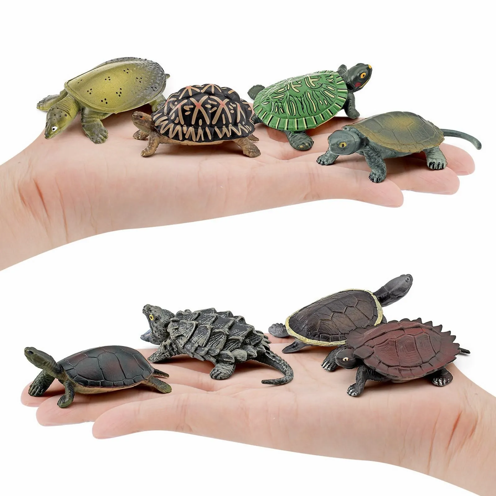 

Party Box Games 2 Years 12PC Turtle Animal Toys Miniature Figures Unique Turtle Toys Detailed Reptile Party Decorations And
