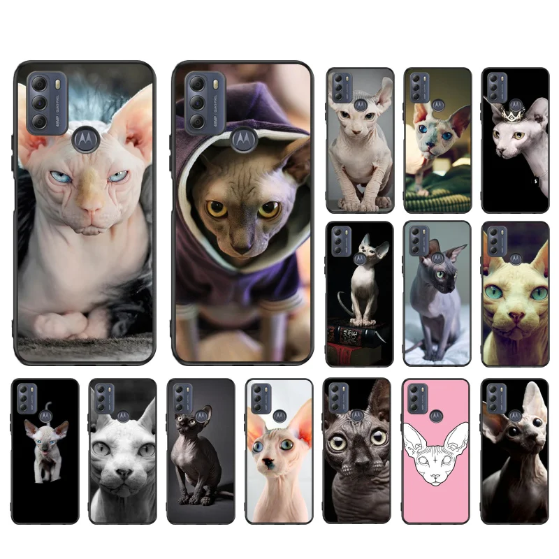 

Hairless Beerus cat Phone Case for Motorola Moto Edge 20 Pro Edge 20 Lite E7 Power E40 E20 One Action G10 G Play G8 G9 G60 G50