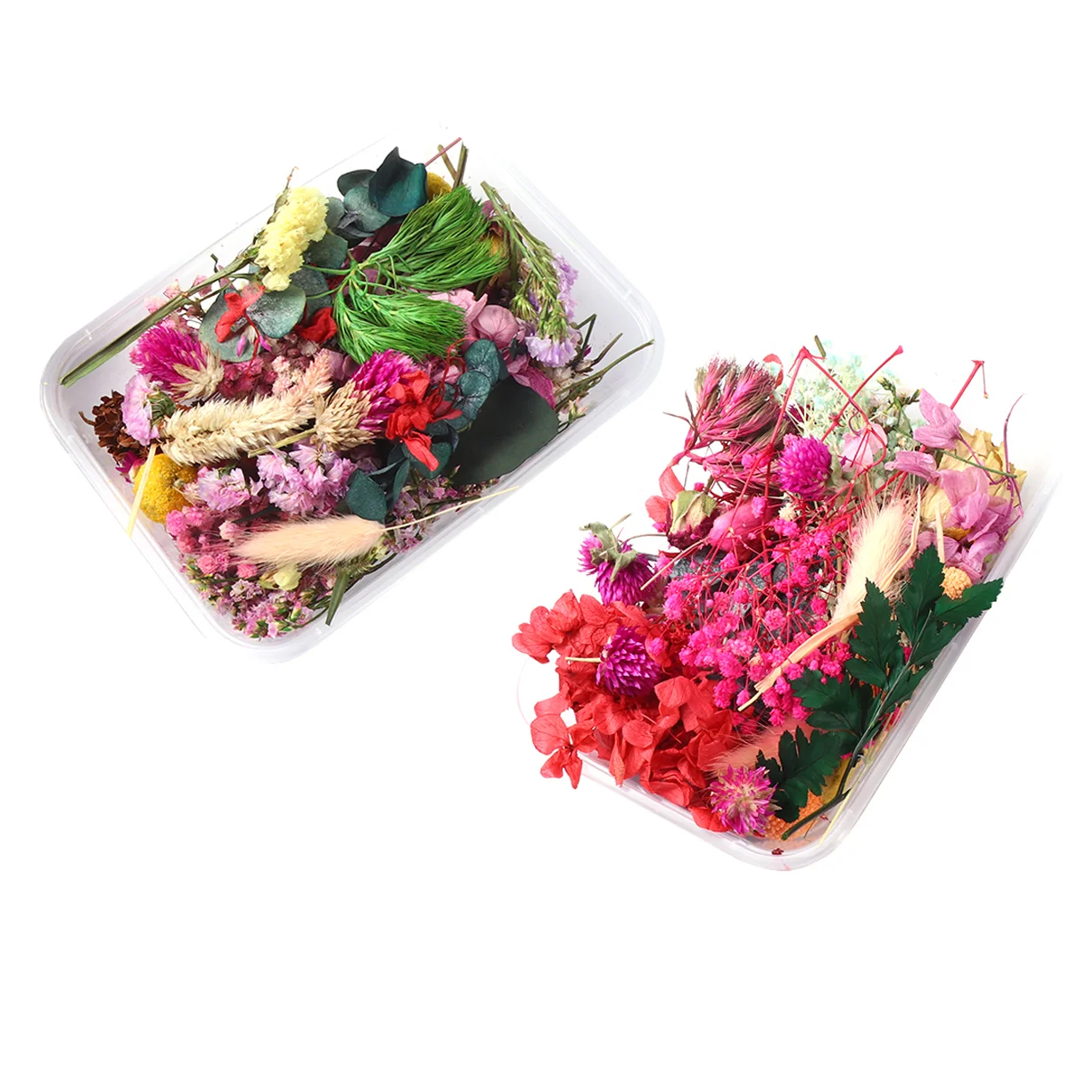 

Flowers Dried Flower Dry Pressed Nail Natural Mixeddiy Resinbath Multiple Making Real Jewelry Bookmark Necklace Accessories