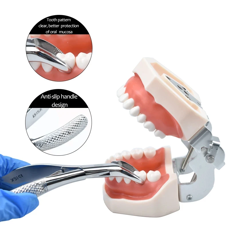 Щипцы для экстракции зубов
