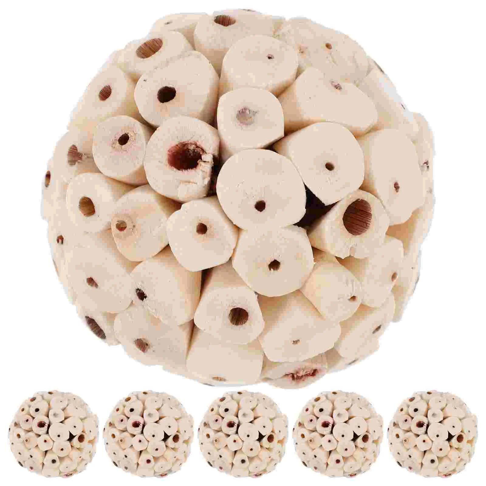 

6 Pcs Parrot Foraging Toy Hamster Balls Bunny Chew Toys Chewing Accessories Guinea Kids