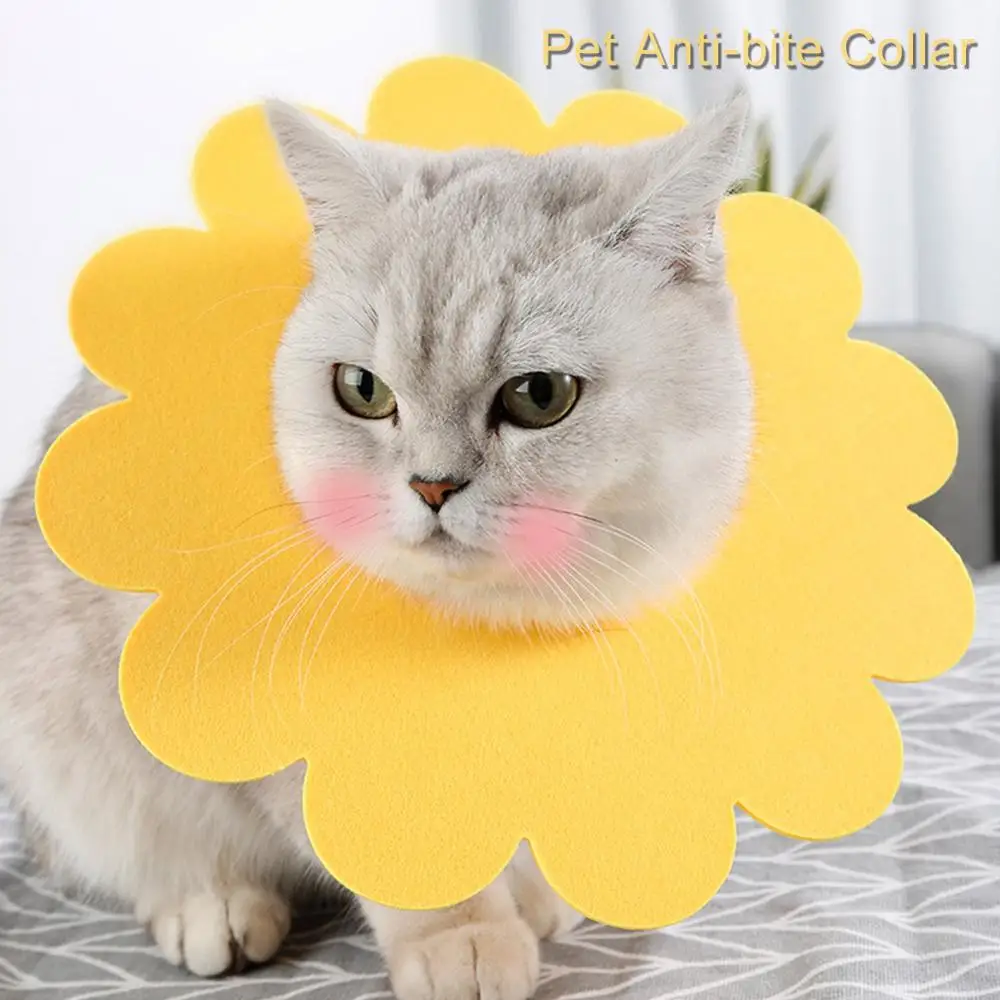 

Cute Cat Elizabeth Ring Pet Anti-bite Anti-smashing Sun Flower Saliva Towel Felt Cloth Cat Collar Pet Supplies Puppy Collar
