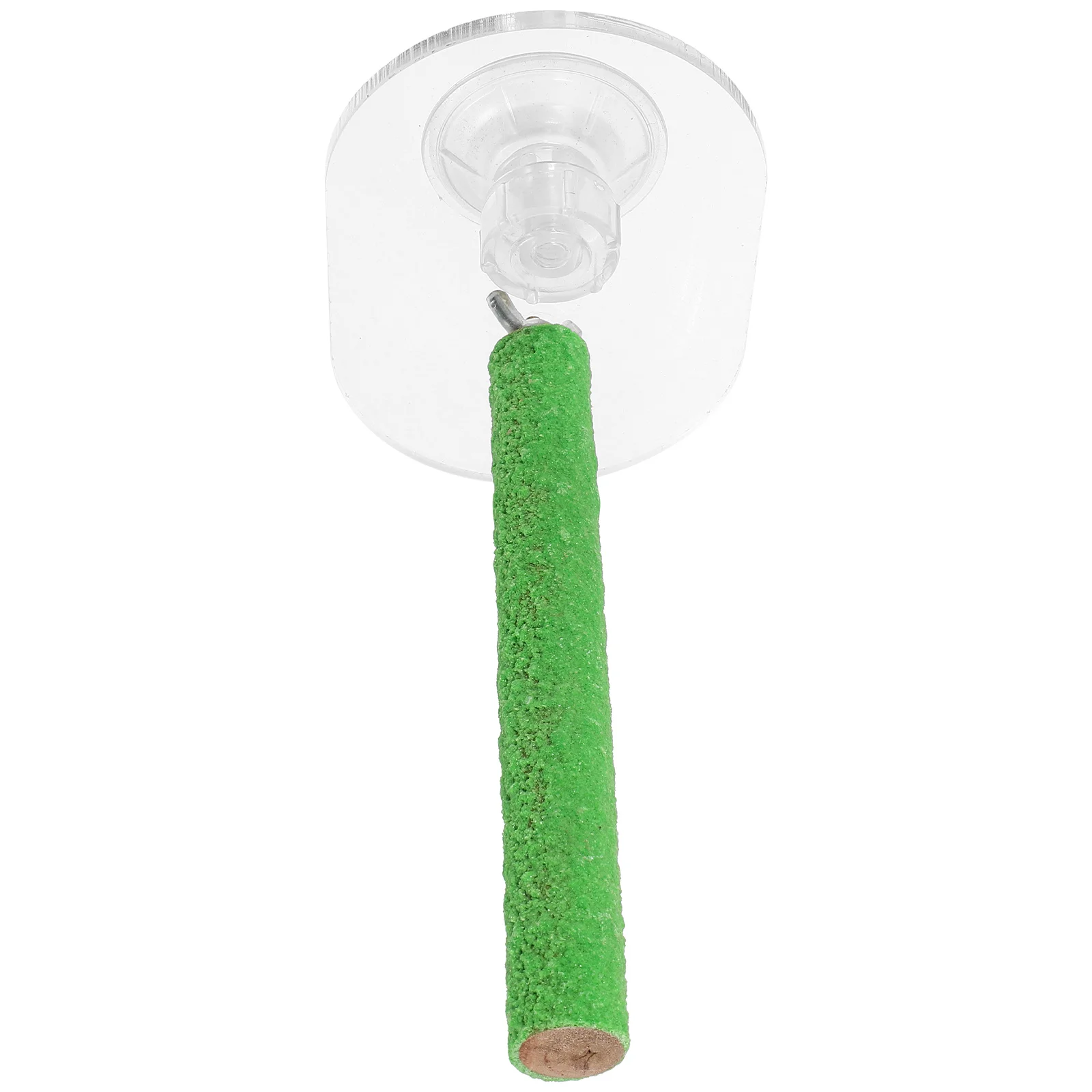 

Bird Stand Sea Bass Household Parrot Perch Acrylic Wooden Plaything Suction Cup Compact Funny Supplies