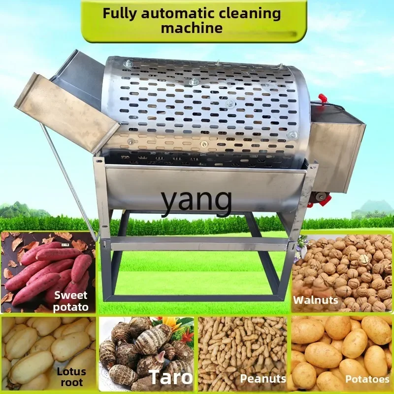 L мм бытовые лекарственные материалы Poria cocos картофель корень лотоса имбирь