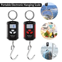 200kg100g portable electronic hanging scale mini digital electronic hook scale weighing tool industrial agricultural family